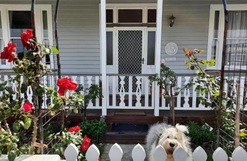 Stanley Bed & Breakfast | Mariner Rose B&B