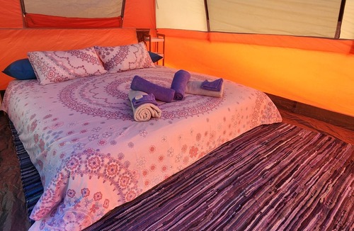 Mount Morgan Bed & Breakfast | Meyenburg King bed tent with shared outdoor shower & wc