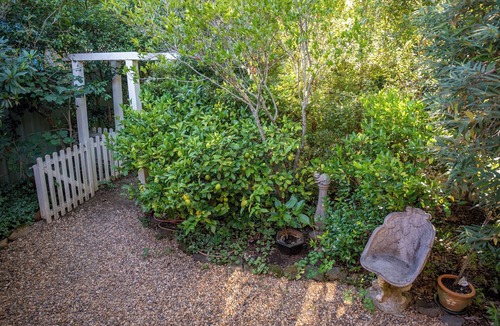 Leura Cottage | Millie’s Pixie Cottage-Cosy Getaway-7 mins Walk Leura/Quiet