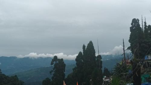 Kurseong Apartment | Mist N Mountain