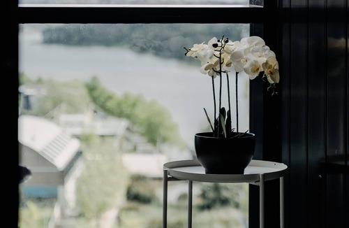 Belconnen Apartment | Modern Convenient 2-Bed with Lakeside View