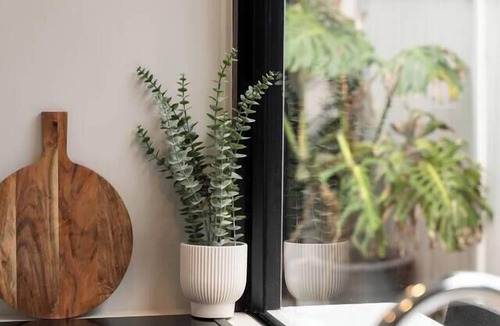 Redfern House | Modern Designer Terrace Next to Surry Hills