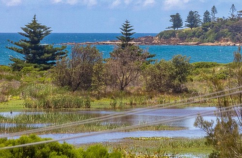 Bermagui House | Moorhead Beach Cottage - Wallaga Lake Rd 60