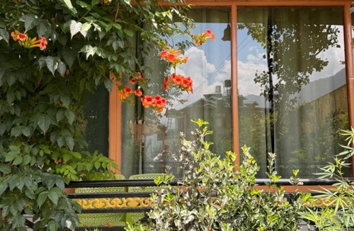 Manali Hotel | Mountain Face Cottage