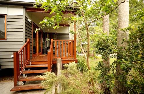 Mount Warning Other | Mt Warning Rainforest Park