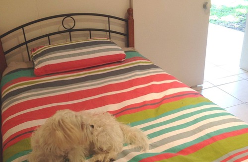 Mudjimba House | Mudjimba Beach House pets allowed inside & walk to surf beach