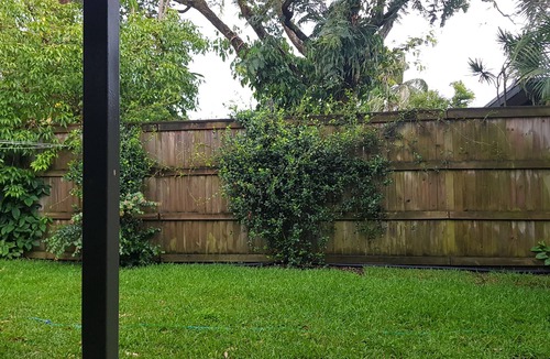 Mudjimba Apartment | Mudjimba Bliss - pets allowed inside & 250M to the surf