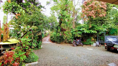 Devikolam Bed & Breakfast | Munnar Plantation Home stay Tea Drops