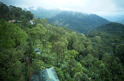 Devikolam Bed & Breakfast | Munnar Plantation Home stay Tea Drops