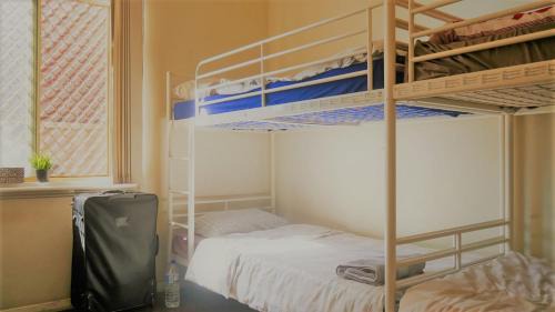 Northbridge Hostel | myOZexp Palmerston Lodge