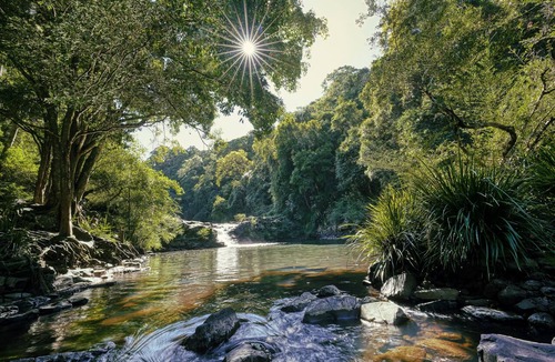 North Maleny Bed & Breakfast | Narrows Escape Rainforest Retreat