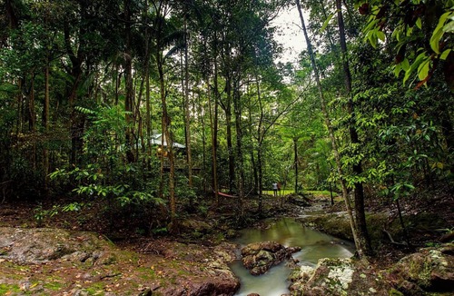North Maleny Bed & Breakfast | Narrows Escape Rainforest Retreat