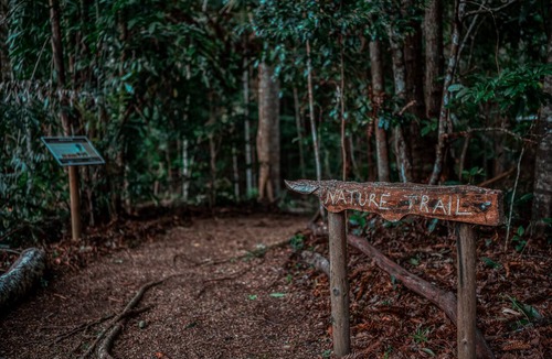 North Maleny Bed & Breakfast | Narrows Escape Rainforest Retreat