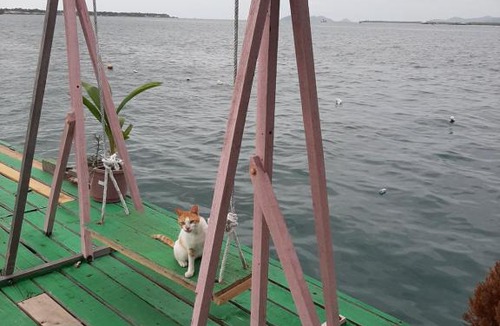 Kampung Kuala Bebang House | ND Divers