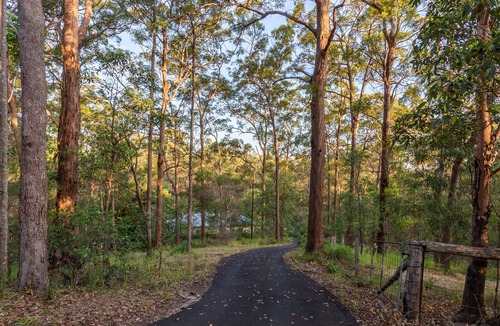 Cootharaba House | Noosa Hinterland Retreat