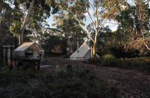Coles Bay Other | Numie Glamping Waterfront Freycinet Escape