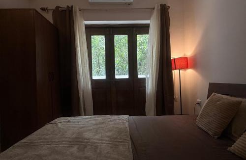 Candolim Bed & Breakfast | Octopus experience