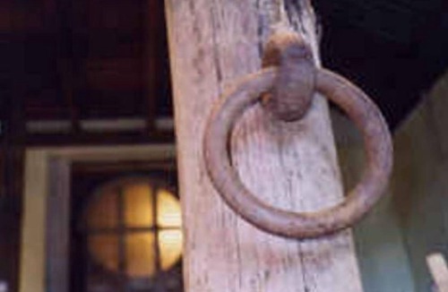 Leura Cottage | Old Leura Dairy - The Milking Shed