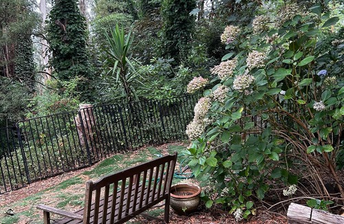 Kalorama House | Old World elegance Views & Wood Fire