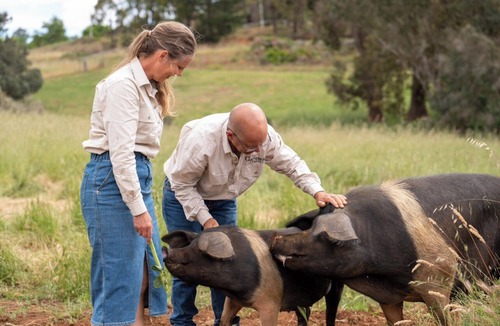 Glenlynn Cottage | On farm accommodation in the beautiful South West of WA.