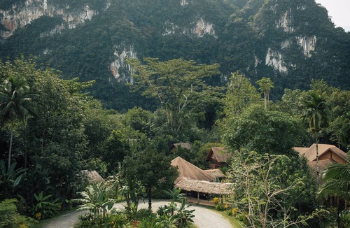 Khlong Sok Hotel | Our Jungle Camp