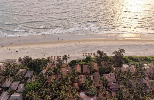 Ashvem Resort | Palm Grove Beach Resort