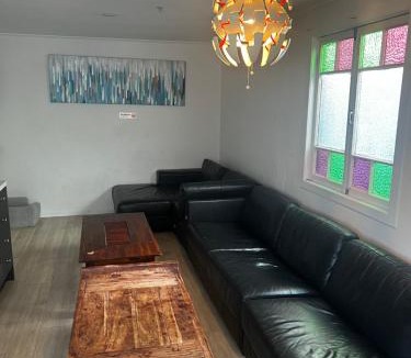 Hamilton Hostel | Palm Hamilton Backpacker