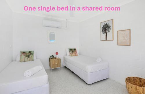 Maroochydore Hostel | Palms on Parker Backpackers