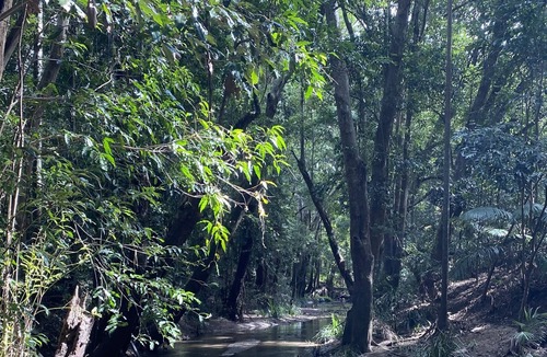 Mooloolah Valley House | Palomino Cottage by the Mooloolah River - Gubbi Gubbi Country
