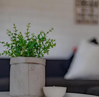 South West Rocks Apartment | Pappys Place