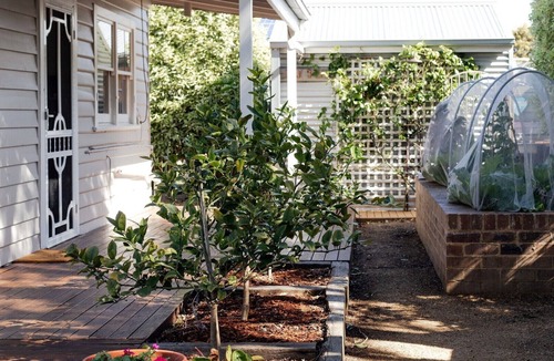 Apollo Bay Cottage | Pear Tree Cottage - Apollo Bay