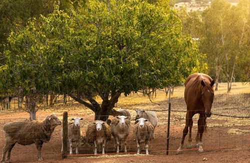 West Toodyay Bed & Breakfast | Pecan Hill BNB