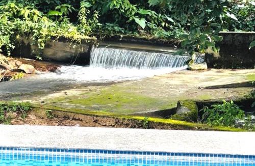Belur Resort | Pepper Corn Retreat By Travent Mug