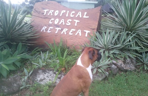Duranbah Apartment | Pet Friendly - Adults Only, Tropical Coast Retreat, Kingscliff, Poolside Suite