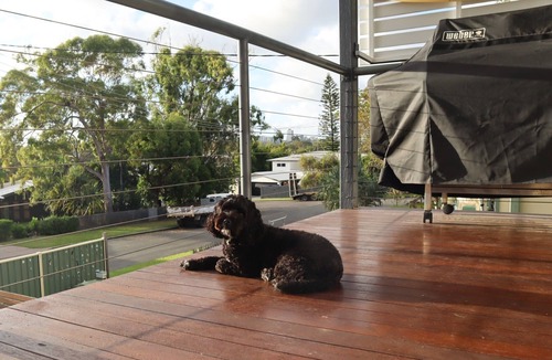 Dicky Beach House | Pet friendly house 650 m from the beach
