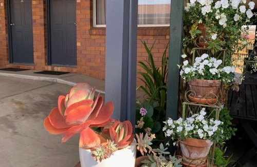 Tenterfield Hotel | Peter Allen Motor Inn