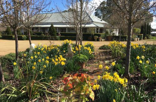 Hamilton House | Petschel House