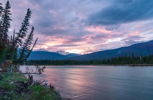 Jasper Cabin | Pine Bungalows