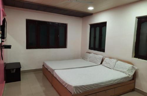 Mount Abu Hotel | Pink villa house