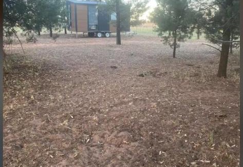 Bohena Creek House | plain Bush