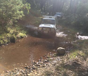 Narbethong Other | PNL 4WDriving Narbethong