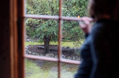 Longley Cottage | Poet's Ode - featuring the Donkey Shed Movie Theatre