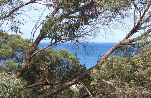Lorne House | Polwarth - Comfortable & Affordable
