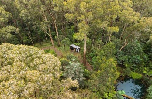 Toolangi House | Quantum Field by Tiny Away