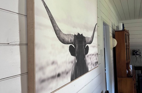 South Mount Cameron Cabin | Quintessential Tassie Shack
