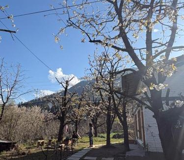 Old Manali Hostel | Raahi Roots