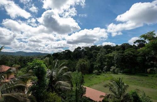 Stuart Hill House | Rain Roots Estate Stay