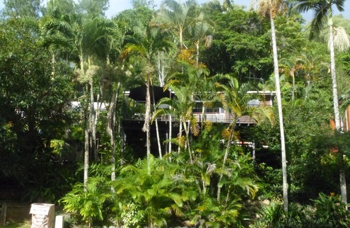 Freshwater Apartment | Rainforest Apartment