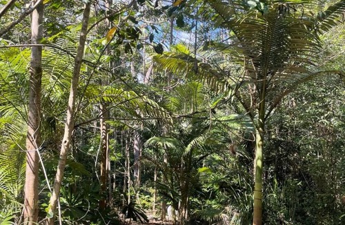Kuranda Villa | Rainforest Bungalow