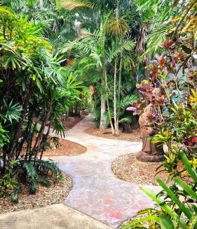 Mission Beach Hotel | Rainforest Motel, Mission Beach